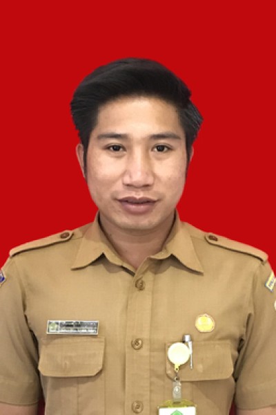 I WAYAN ERNA SUYANA, S.KOM